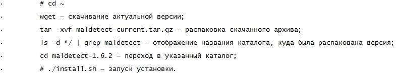 Вирусы на сайте: что это и как с этим бороться?