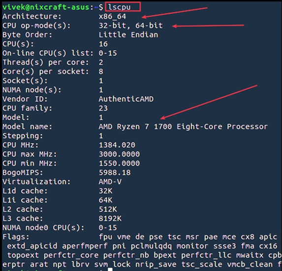 Как узнать какой разрядности Linux