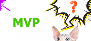 Концепции NetDevOps – Минимально жизнеспособный продукт