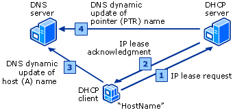 Сетевые сервисы DNS и DHCP