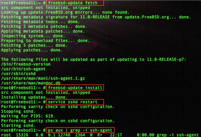 OpenSSH уязвимость на FreeBSD
